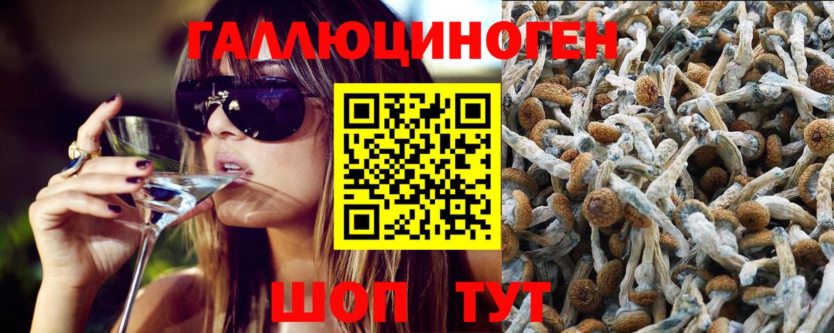 Галлюциногенные грибы мицелий Советск